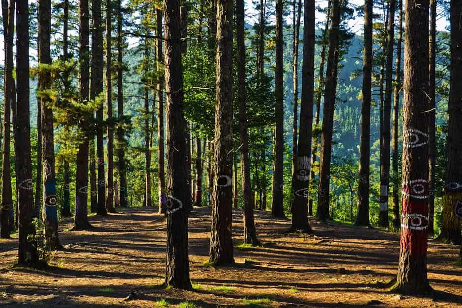 Ruta en caravana con niños País Vasco