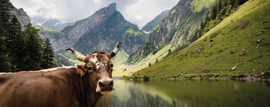 suiza en autocaravana suiza en autocaravana con niños viajar por suiza en autocaravana